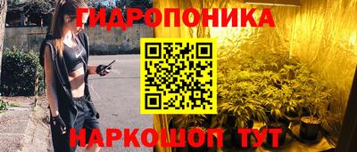 прущие грибы Северобайкальск