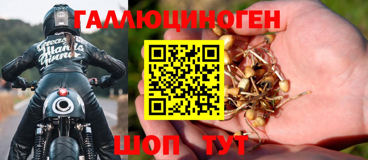 Ногинск  Псилоцибиновые грибы мицелий  продажа наркотиков  Псилоцибиновые грибы MAGIC MUSHROOMS  Вход с VPN 